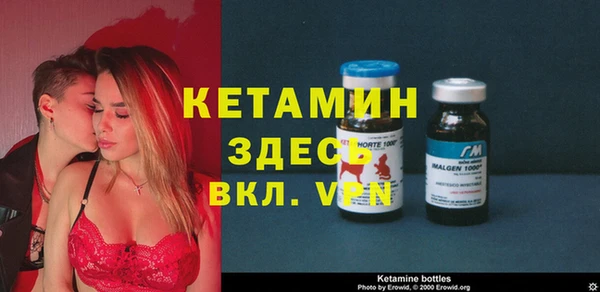 хмурый Ельня