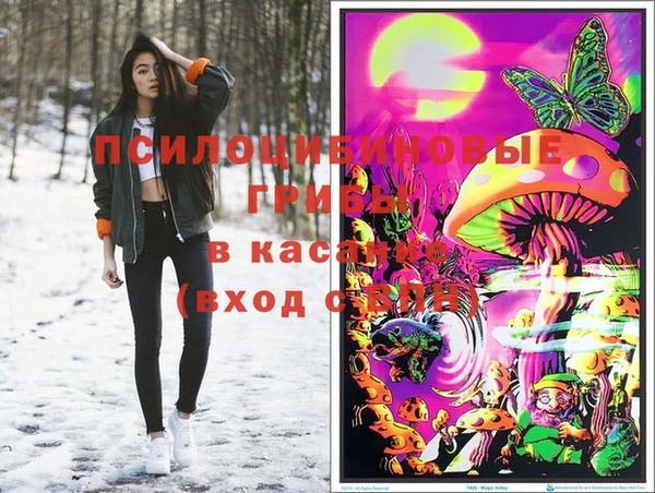 хмурый Ельня