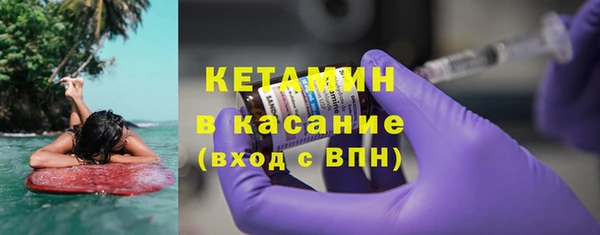 хмурый Ельня