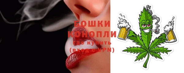 хмурый Ельня