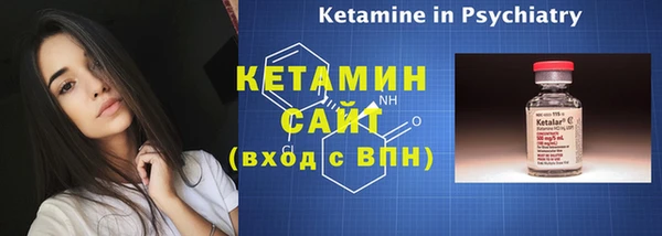 хмурый Ельня