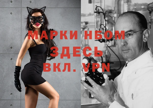 дмт Елизово
