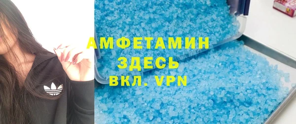 хмурый Ельня