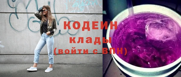 дмт Елизово