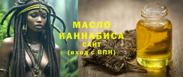 хмурый Ельня