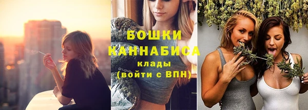 хмурый Ельня