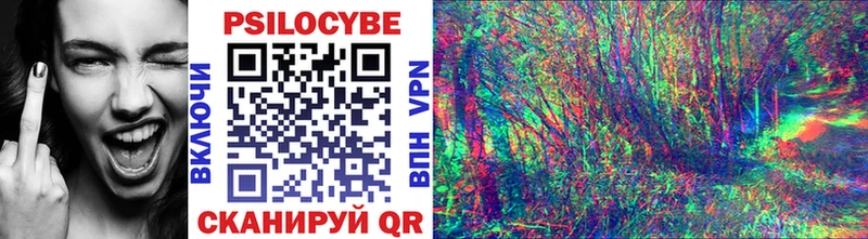 Купить  Жердевка  Псилоцибиновые грибы MAGIC MUSHROOMS 